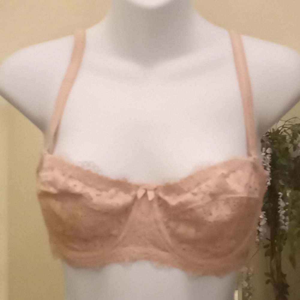 Dobreva Adobe Rose Pink Lace Strapless Bra…